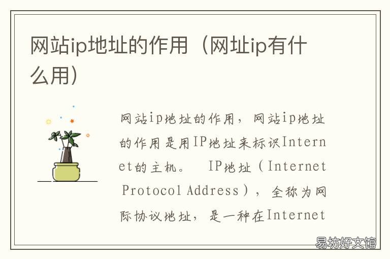 网站ip地址的作用 网站的ip地址是什么