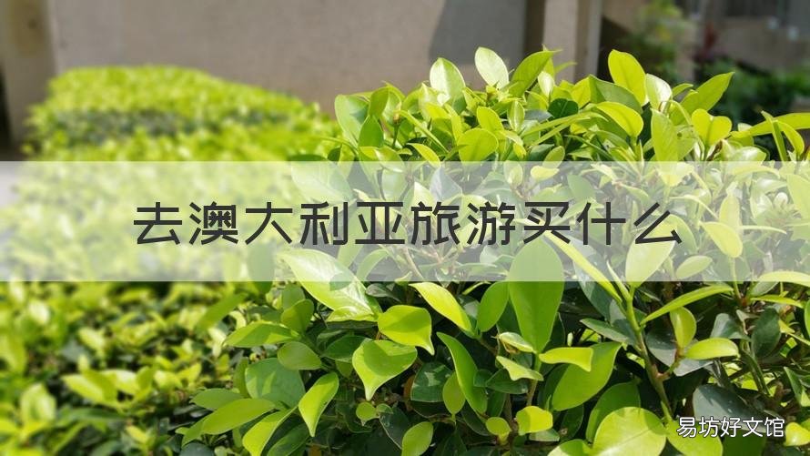 去澳大利亚旅游买什么 去澳洲旅游买什么