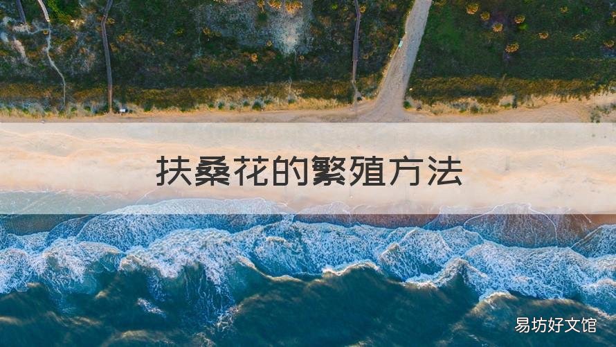 扶桑花的繁殖方法 扶桑花繁殖方法有几种
