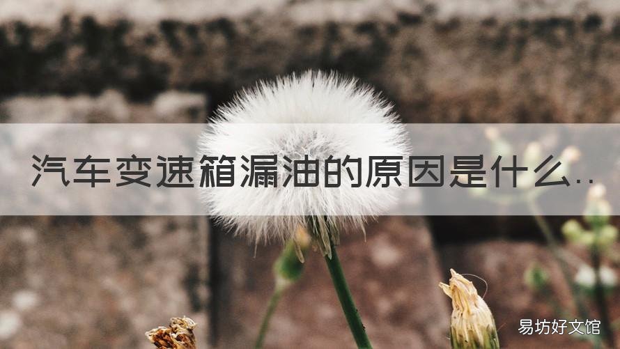汽车变速箱漏油的原因是什么 变速箱漏油是什么原因?