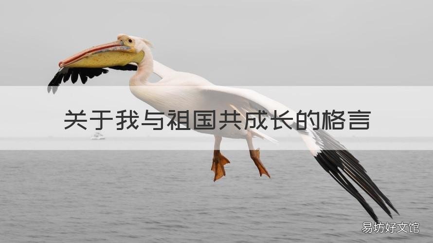 关于我与祖国共成长的格言 我与祖国共成长的名言