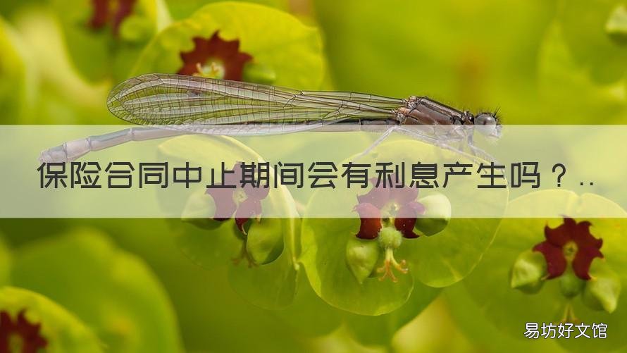 保险合同中止期间会有利息产生吗 保险合同中止的法律后果