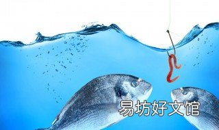 用蚯蚓钓鱼怎样调漂 蚯蚓钓怎么调漂
