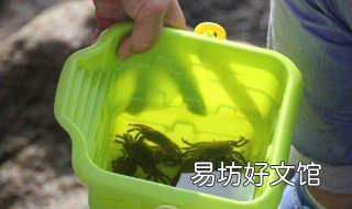 用什么钓螃蟹最快 螃蟹用什么好钓
