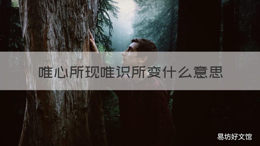 唯心所现唯识所变什么意思 唯识所变 是什么意思?