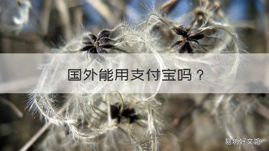 国外能用支付宝吗 在国外可以用支付宝吗