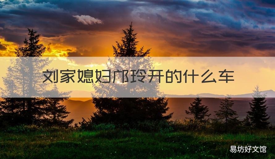 刘家媳妇邝玲开的什么车 刘家媳妇邝玲图片