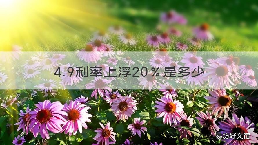 4.9利率上浮20%是多少