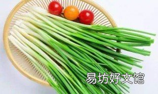 种葱用什么肥料好 盆栽葱用什么肥料