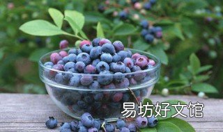 花青素最高的水果 花青素最高的水果排名