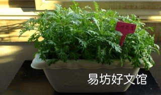 什么肥料种菜最好 种菜那种肥料好