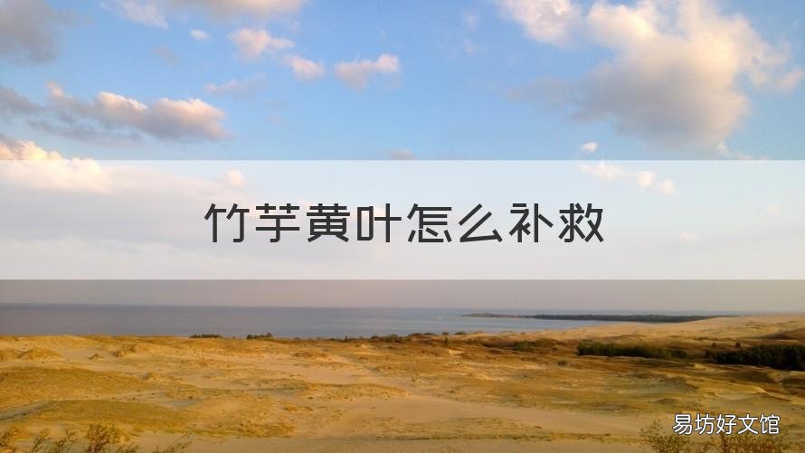 竹芋黄叶怎么补救 双线竹芋黄叶子怎么补救