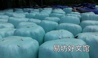 青贮饲料的制作方法 青贮饲料的制作方法与技术要点