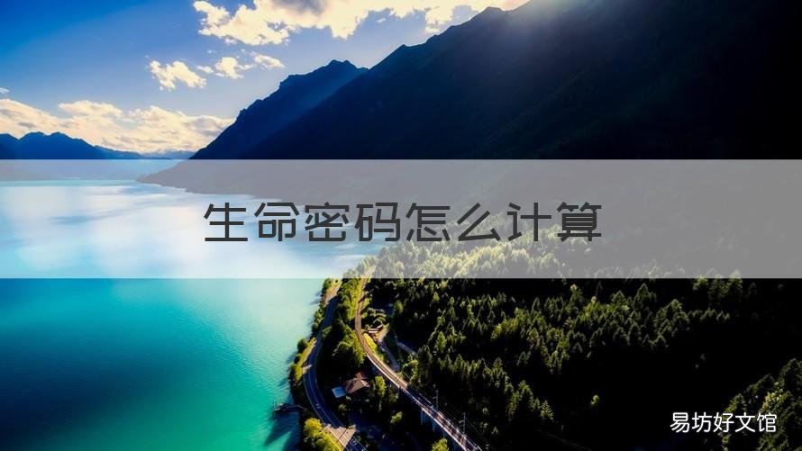 生命密码怎么计算 生命密码如何计算