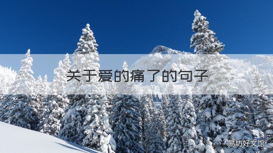 关于爱的痛了的句子 关于爱太痛的句子