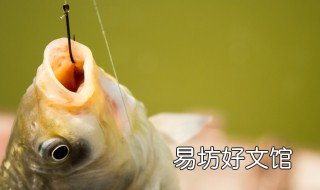 朝天钩的绑法图解 开槽朝天钩的绑法图解