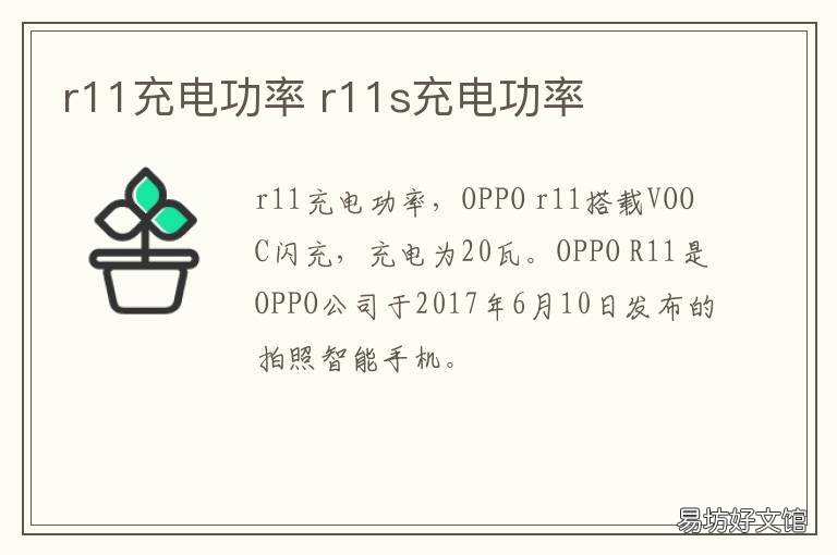 r11充电功率 r11充电多少w快充