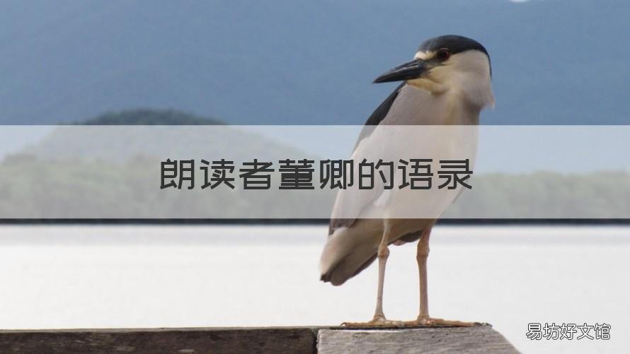 朗读者董卿的语录 朗读者董卿的语录有哪些