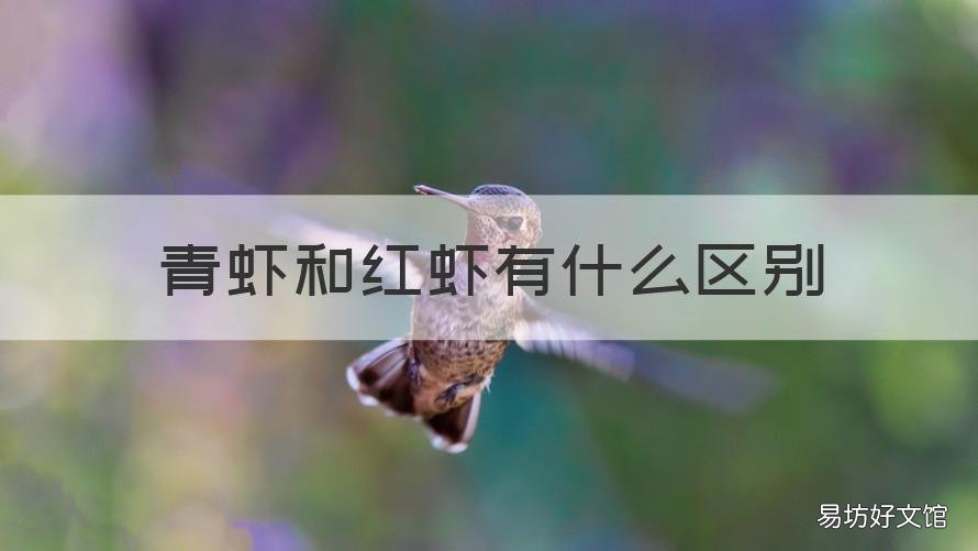 青虾和红虾有什么区别 红虾青虾的区别