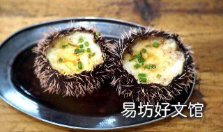 吃海胆的禁忌 吃海胆的好处和禁忌