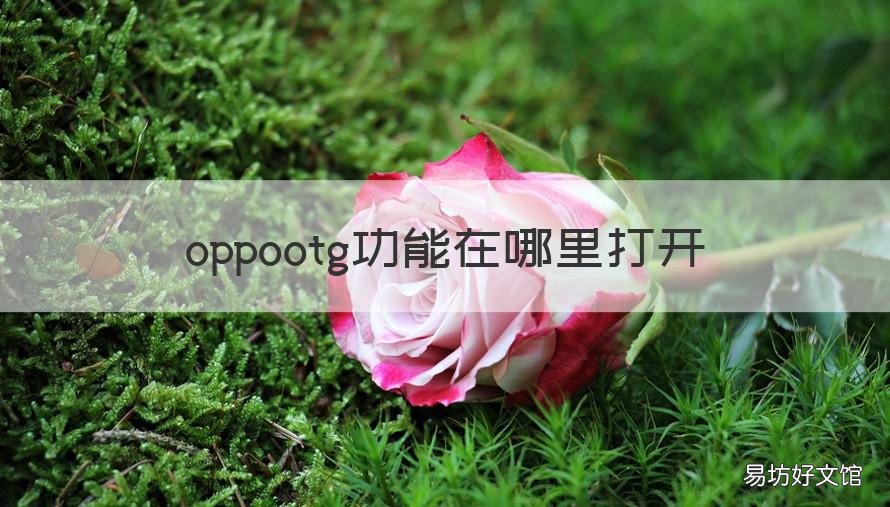 oppootg功能在哪里打开 OTG功能在哪打开OPPO