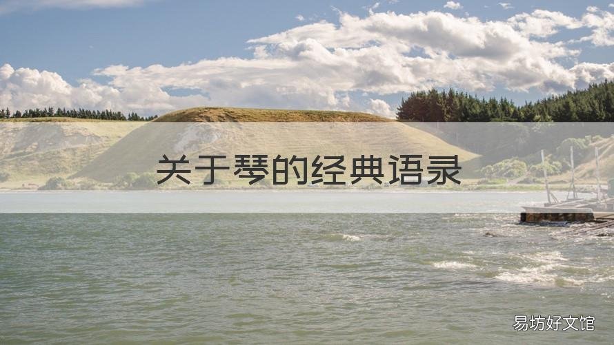 关于琴的经典语录 关于琴的名句