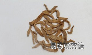 天麻籽的功效与吃法 请问天麻籽的功效治什么病