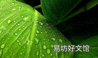 芭蕉的功效与作用禁忌 芭蕉有什么功效