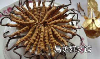 冬虫夏草的禁忌 冬虫夏草的禁忌人群