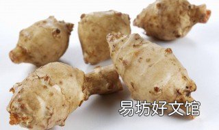 洋姜的作用及禁忌 洋姜的禁忌症