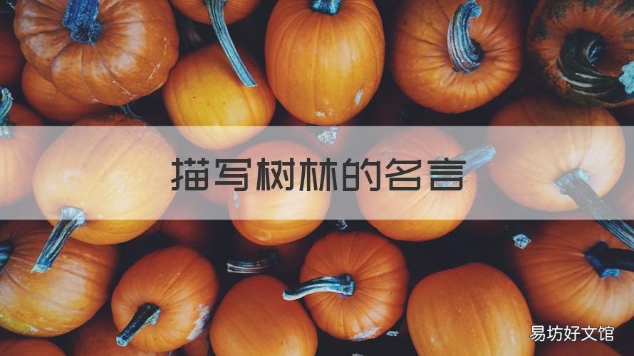描写树林的名言 描写树林的名言警句