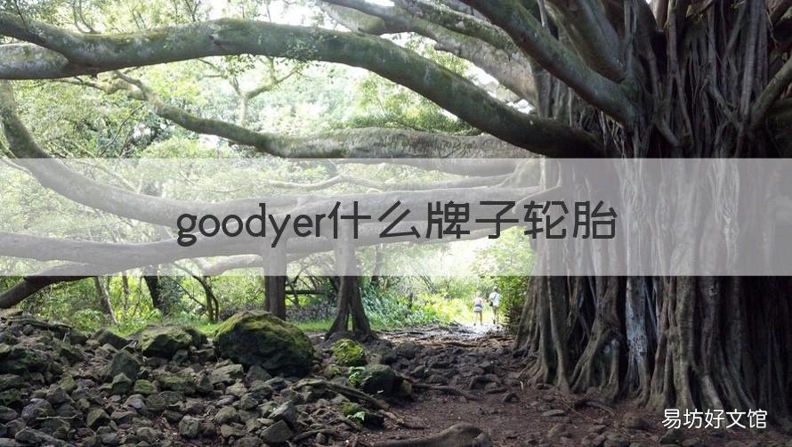 goodyer什么牌子轮胎 good轮胎是什么品牌
