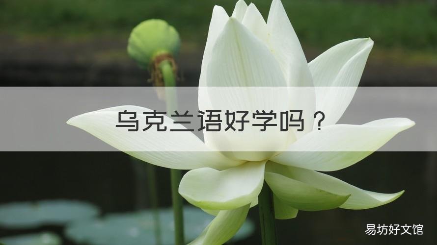 乌克兰语好学吗 乌克兰语自学难吗