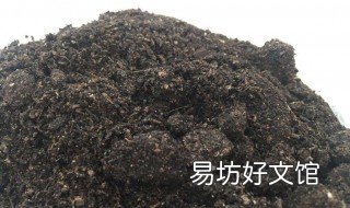 怎样自制石斛肥料水 怎样自制石斛肥料水溶肥