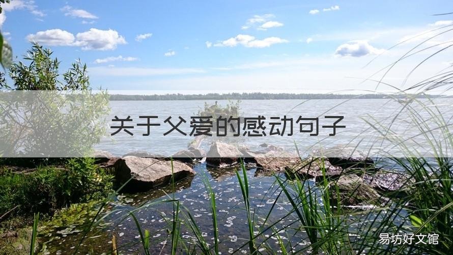 关于父爱的感动句子 描写父爱的感人句子