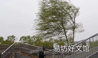 梦到风 梦到风把房子都吹倒了好不好