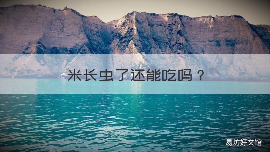 米长虫了还能吃吗 家里的大米长虫了还能吃吗