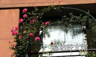 家里忌讳种什么花 家里种花禁忌