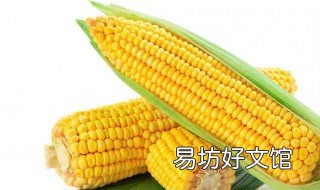 吃玉米的害处 吃玉米坏处