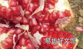 软籽石榴籽害处 软籽石榴病害