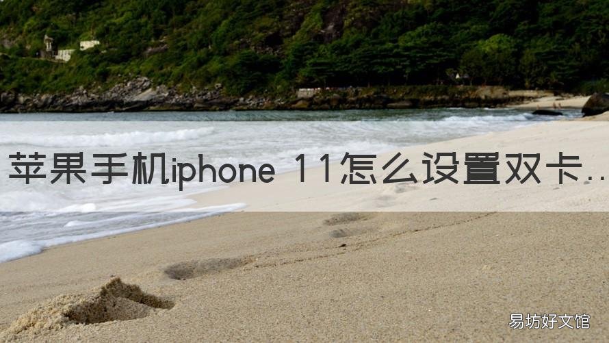 苹果手机iphone 11怎么设置双卡 iPhone11怎么设置双卡