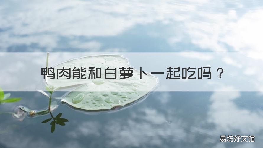 鸭肉能和白萝卜一起吃吗 鸭肉与白萝卜可以一起吃吗