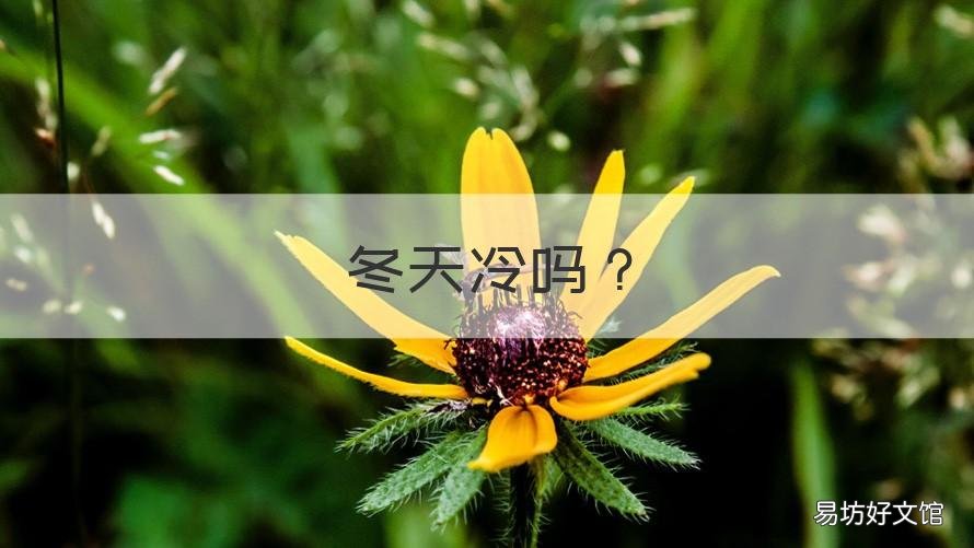 冬天冷吗 深圳冬天冷吗