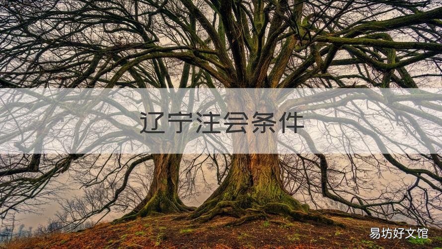 辽宁注会条件 辽宁注会报名费