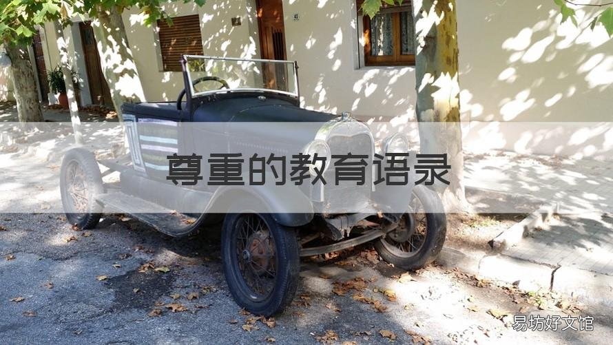 尊重的教育语录 尊重的教育名言