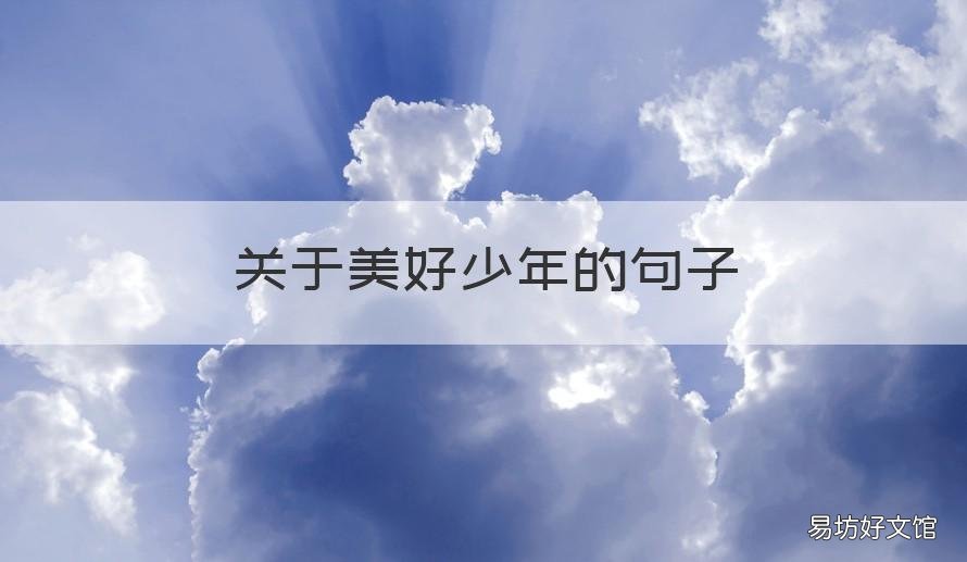 关于美好少年的句子 描写美好少年的句子