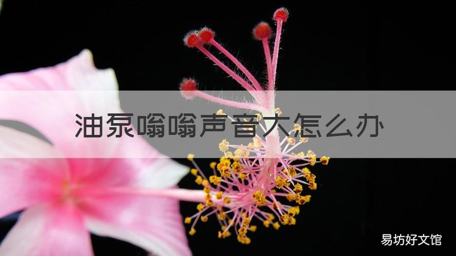 油泵嗡嗡声音大怎么办 油泵响声太大是什么原因