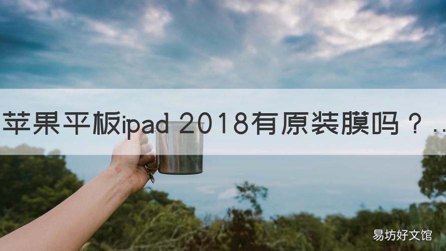 苹果平板ipad 2018有原装膜吗 ipad有没有原装膜