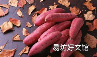 地瓜的禁忌与副作用 地瓜有副作用吗