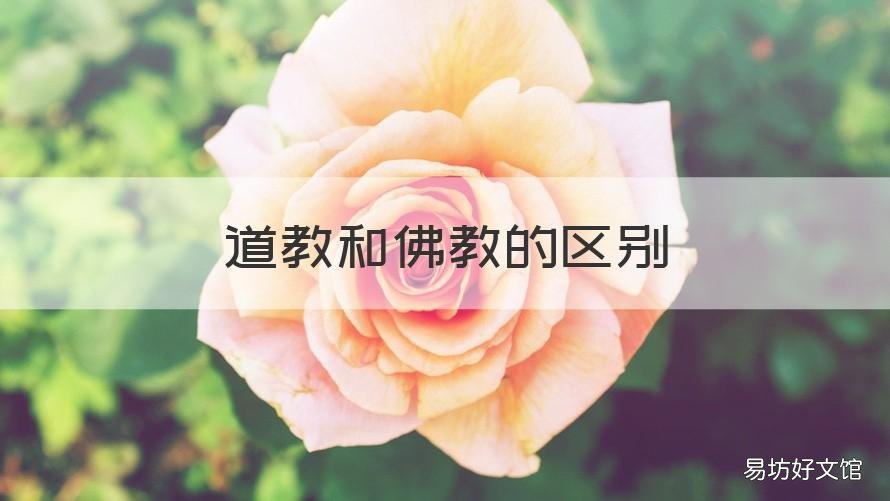 道教和佛教的区别 道教和佛教的区别在哪里泡